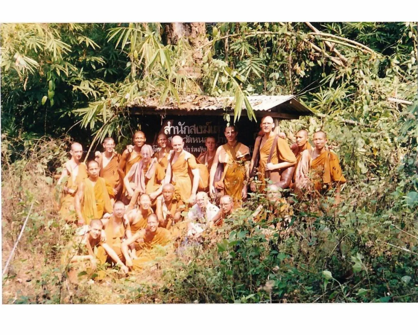 A group of monks in orange robes sitting under trees.