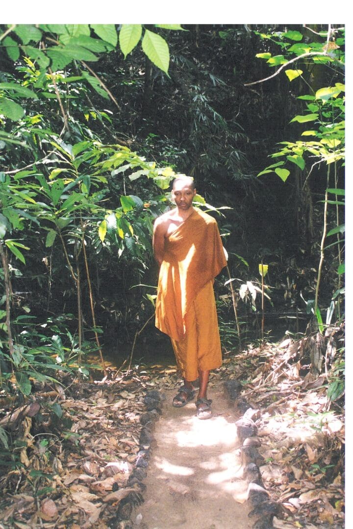 Monk walking on a forest path.